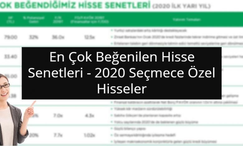 2020 Seçmece Özel Hisseler - 2020 Türkiye Strateji Raporu 1