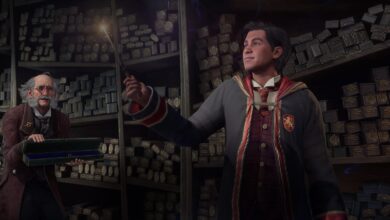Hogwarts Legacy için Multiplayer Modu Geliştiriliyor: Sizce Oynanır mı? 21